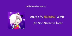 NULLS BRAWL APK Indir