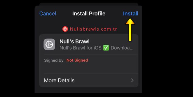 Nulls Brawl iOS APK